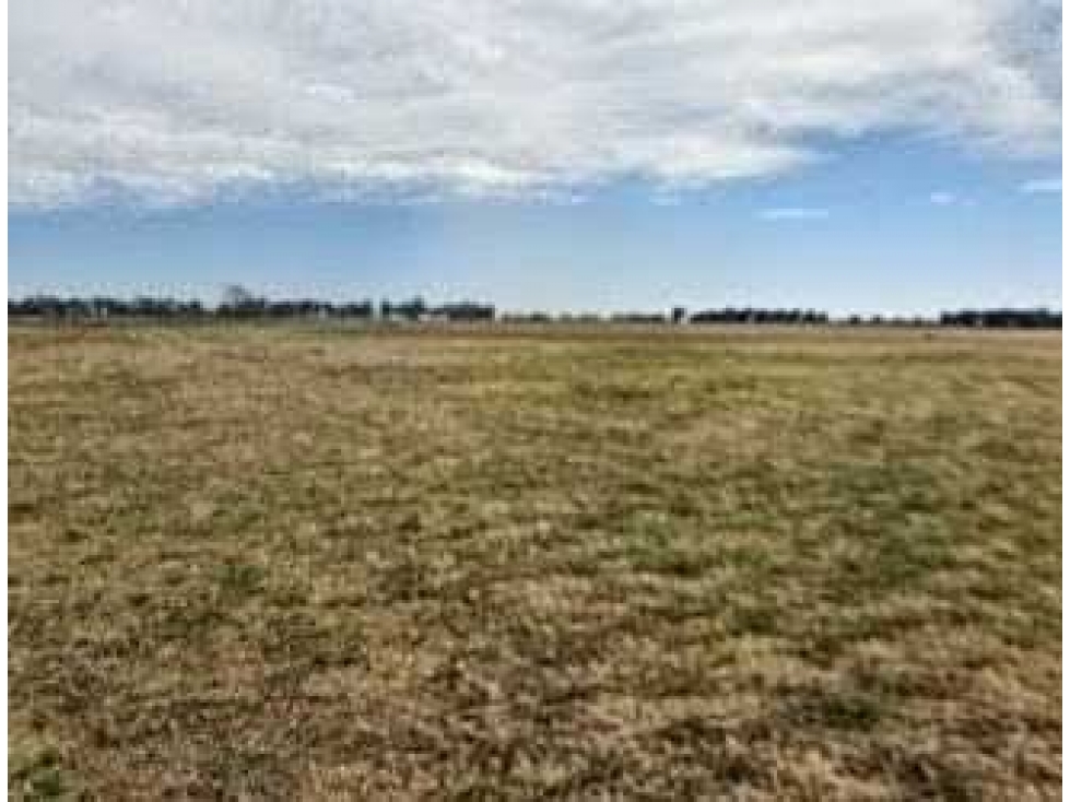 CAMPO 193 HECTAREAS, MIXTO, CROTTO, BUENOS AIRES, ARGENTINA - 4