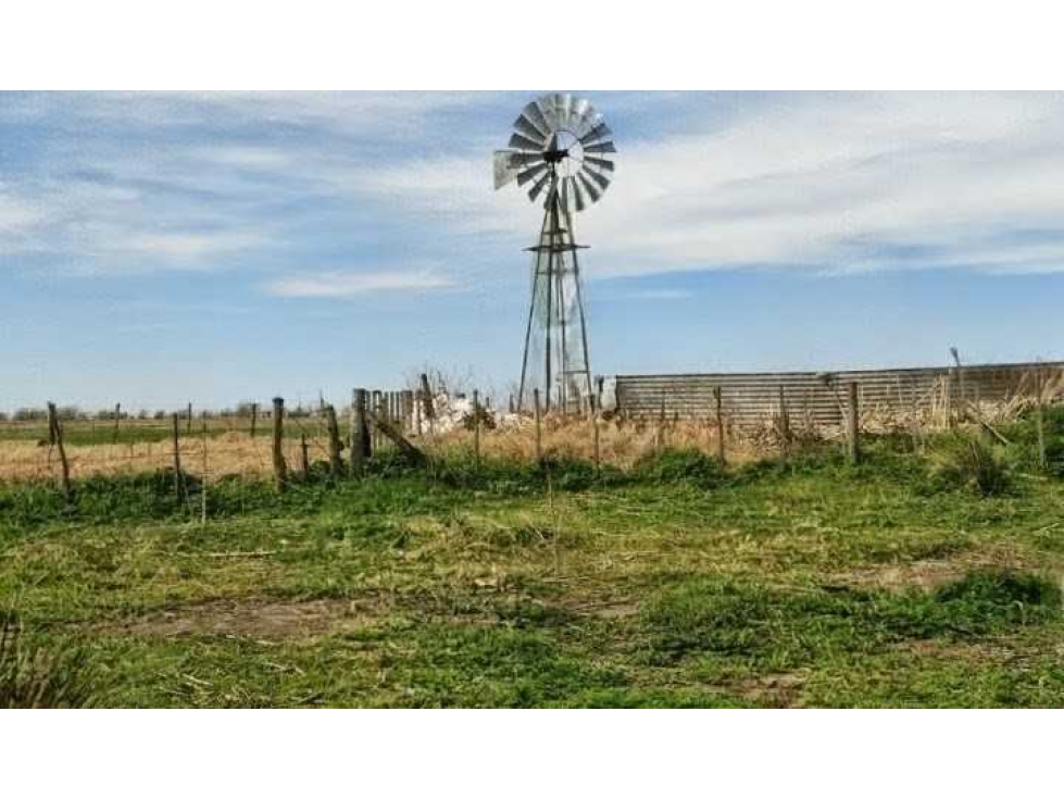 CAMPO 193 HECTAREAS, MIXTO, CROTTO, BUENOS AIRES, ARGENTINA - 5