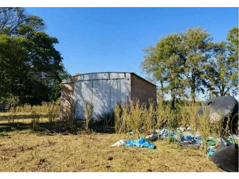 CAMPO 155 HECTAREAS, MIXTO,PERGAMINO, BUENOS AIRES, ARGENTINA - 2