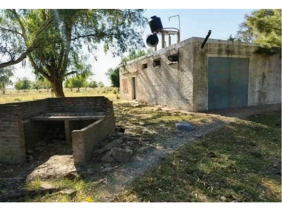 CAMPO 155 HECTAREAS, MIXTO,PERGAMINO, BUENOS AIRES, ARGENTINA - 3