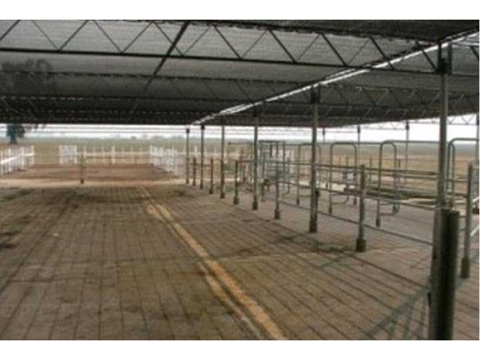 CAMPO 1561 HECTAREAS, MIXTO, SAN MARTIN, SANTA FE, ARGENTINA - 2