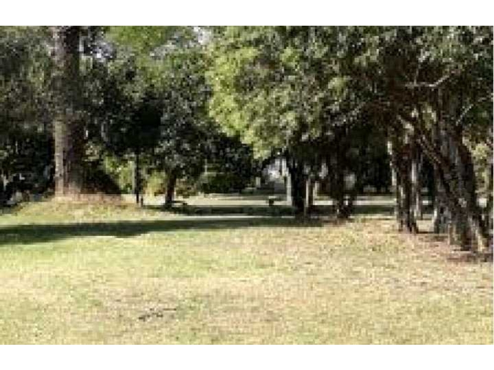 CAMPO 1561 HECTAREAS, MIXTO, SAN MARTIN, SANTA FE, ARGENTINA - 3