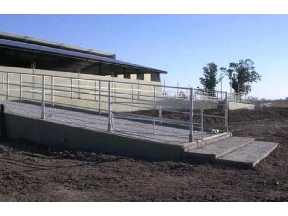 CAMPO 1561 HECTAREAS, MIXTO, SAN MARTIN, SANTA FE, ARGENTINA - 4