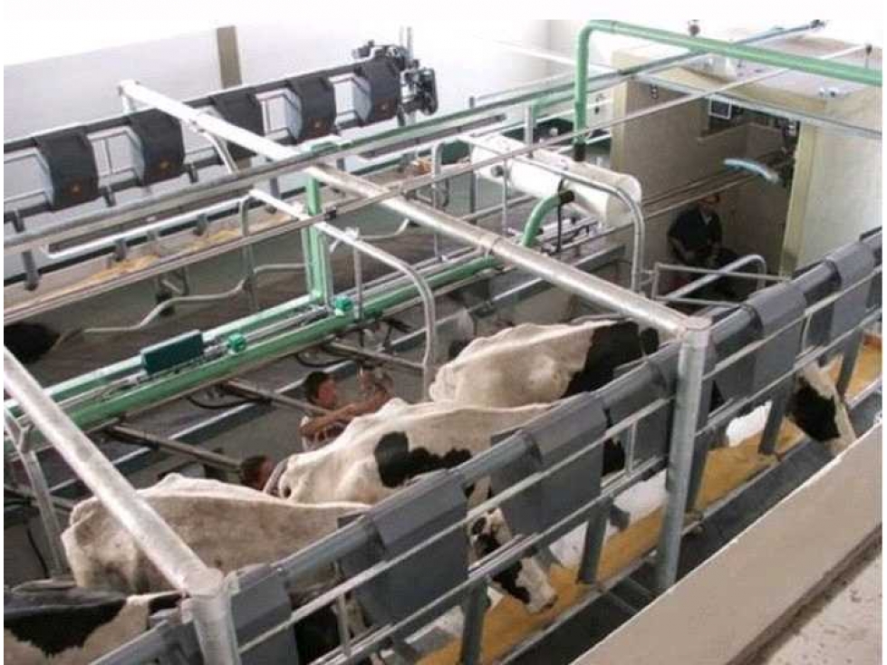 CAMPO 1561 HECTAREAS, MIXTO, SAN MARTIN, SANTA FE, ARGENTINA - 5