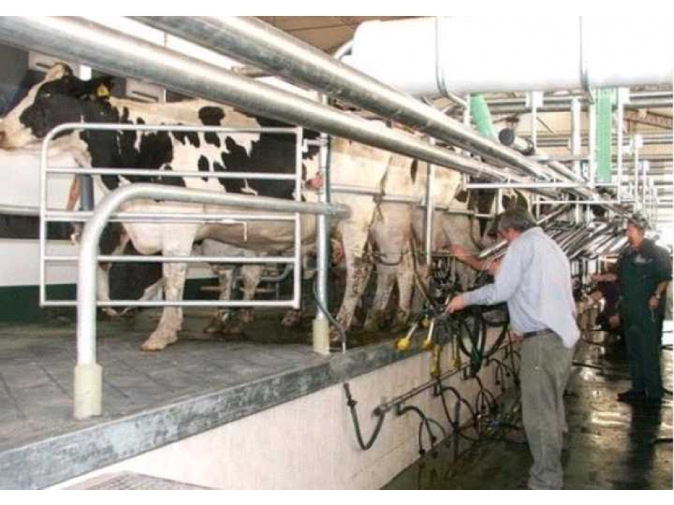 CAMPO 1561 HECTAREAS, MIXTO, SAN MARTIN, SANTA FE, ARGENTINA - 6