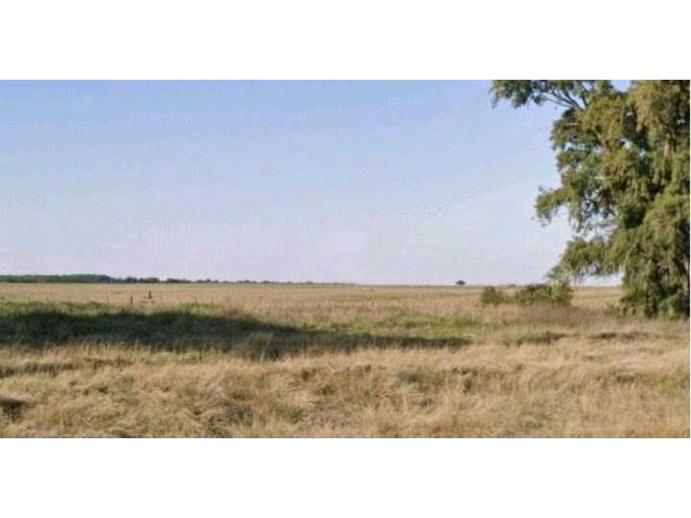 CAMPO 158 HAS, AGRICOLA, CHAJAN, RIO CUARTO, CORDOBA, ARGENTINA - 2