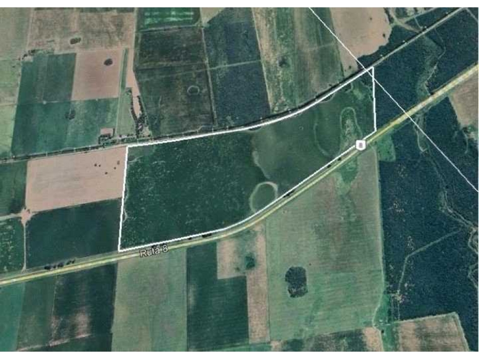CAMPO 158 HAS, AGRICOLA, CHAJAN, RIO CUARTO, CORDOBA, ARGENTINA - 3