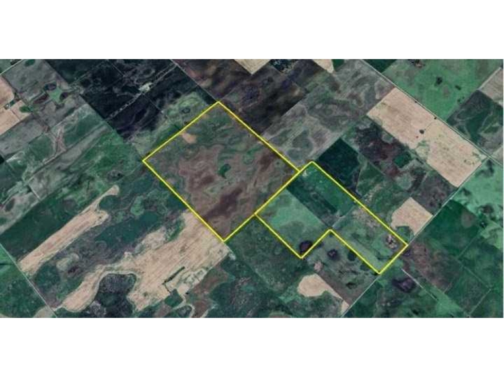 CAMPO 159 HAS, AGRICOLA, MONES CAZON, PEHUAJO, BS.AS, ARGENTINA - 3