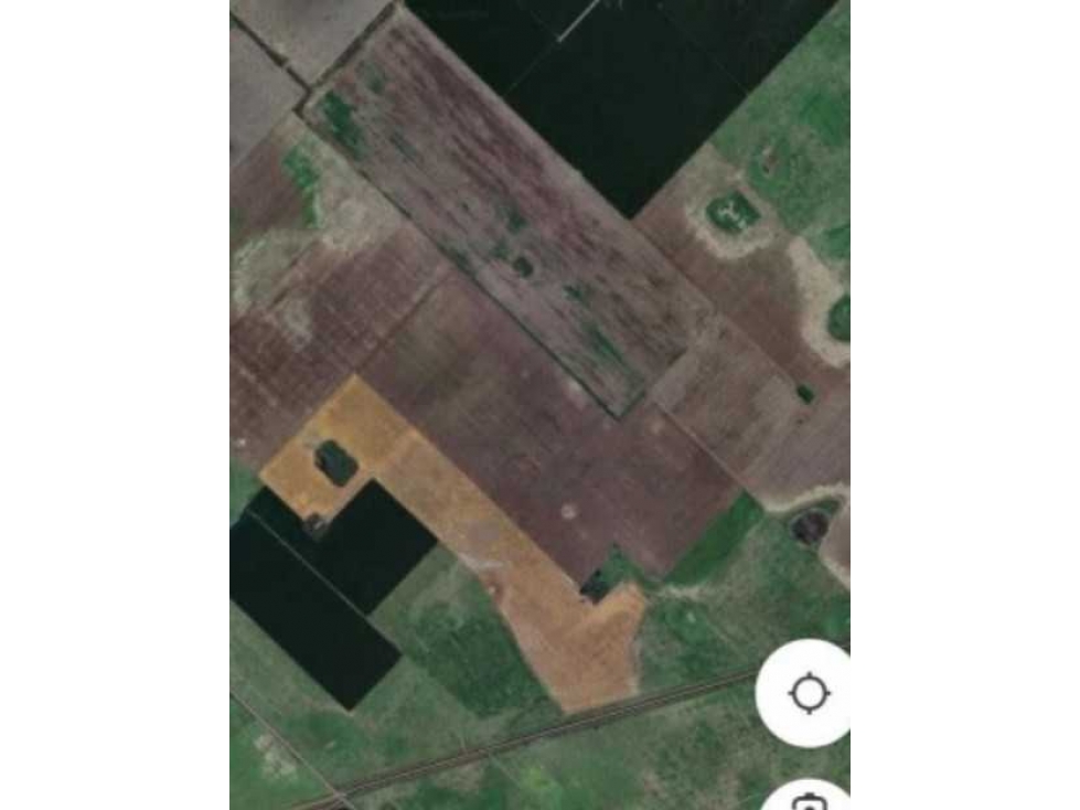 CAMPO 160 HECTAREAS, AGRICOLA, CHIVILCOY, BUENOS AIRES, ARGENTINA - 2