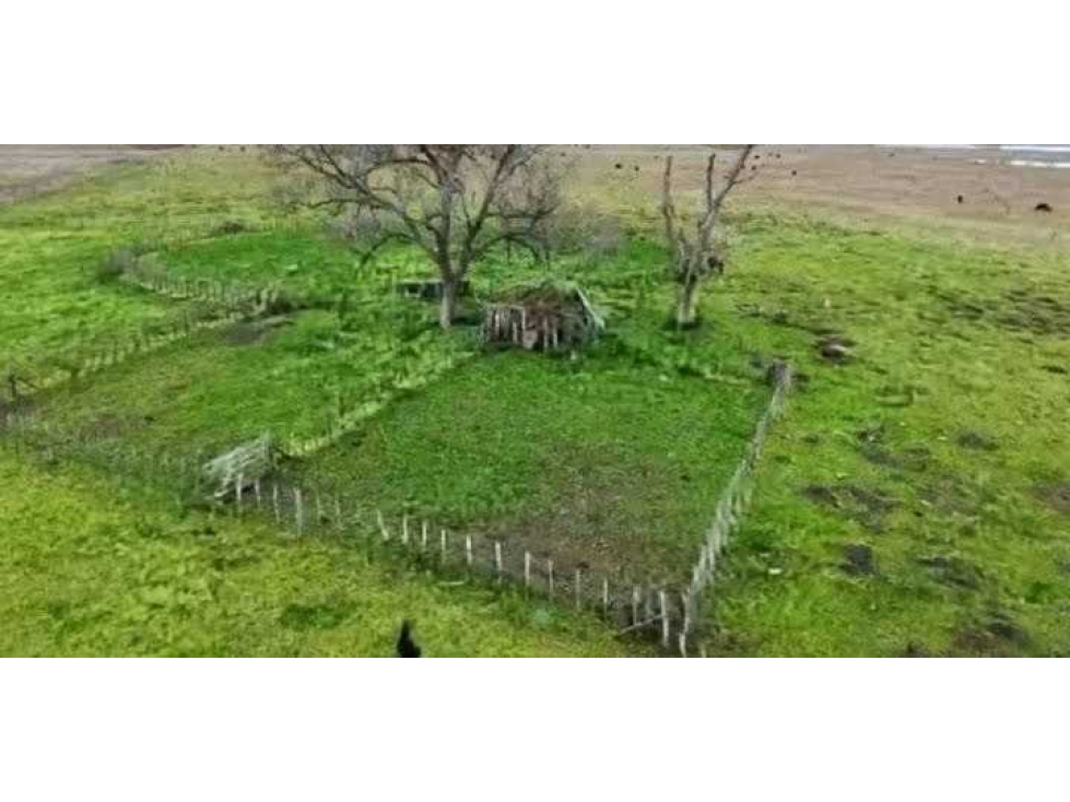 CAMPO 1700 HECTAREAS, MIXTO, GENERAL ALVEAR, BUENOS AIRES, ARGENTINA - 4