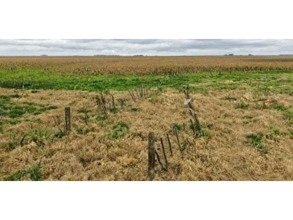 CAMPO 1700 HECTAREAS, MIXTO, GENERAL ALVEAR, BUENOS AIRES, ARGENTINA - 5