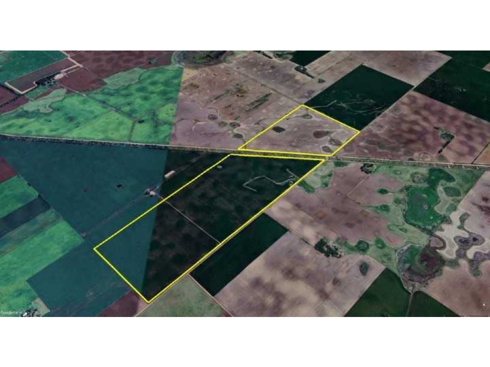 CAMPO 170 HECTAREAS, AGRICOLA, JUNIN, BUENOS AIRES, ARGENTINA - 2
