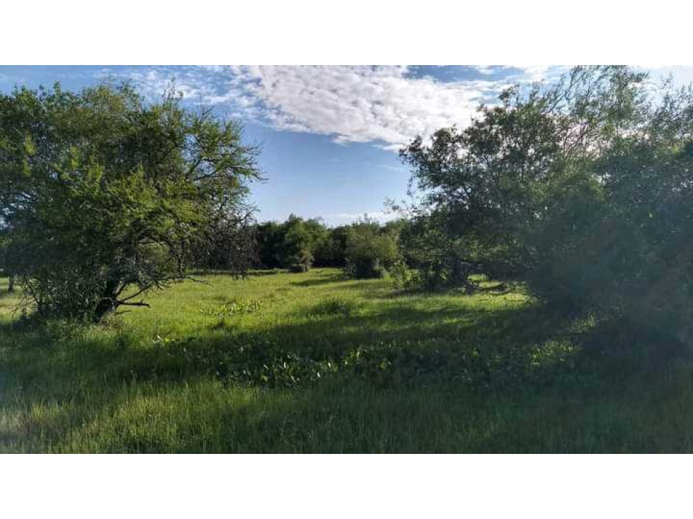 CAMPO CONCORDIA 343 HAS, ENTRE RIOS,ARGENTINA - 3