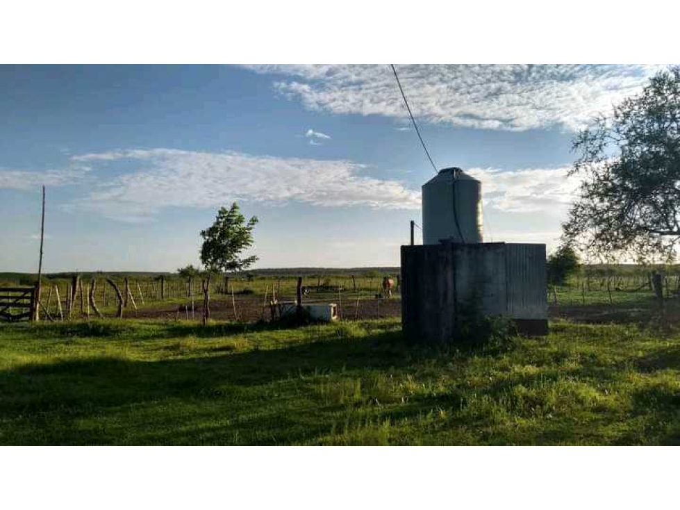 CAMPO CONCORDIA 343 HAS, ENTRE RIOS,ARGENTINA - 6