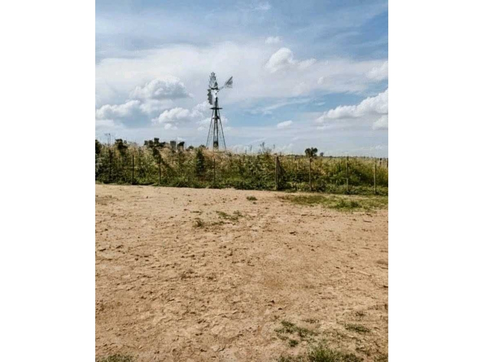 CAMPO 173 HECTAREAS,MIXTO, NAVARRO, BUENOS AIRES, ARGENTINA - 3