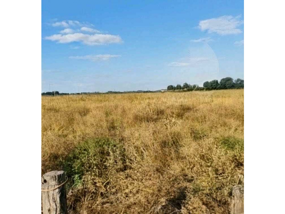 CAMPO 173 HECTAREAS,MIXTO, NAVARRO, BUENOS AIRES, ARGENTINA - 4