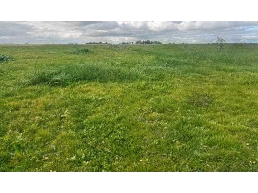CAMPO 176 HECTAREAS, MIXTO, ROQUE PEREZ, BUENOS AIRES, ARGENTINA - 4