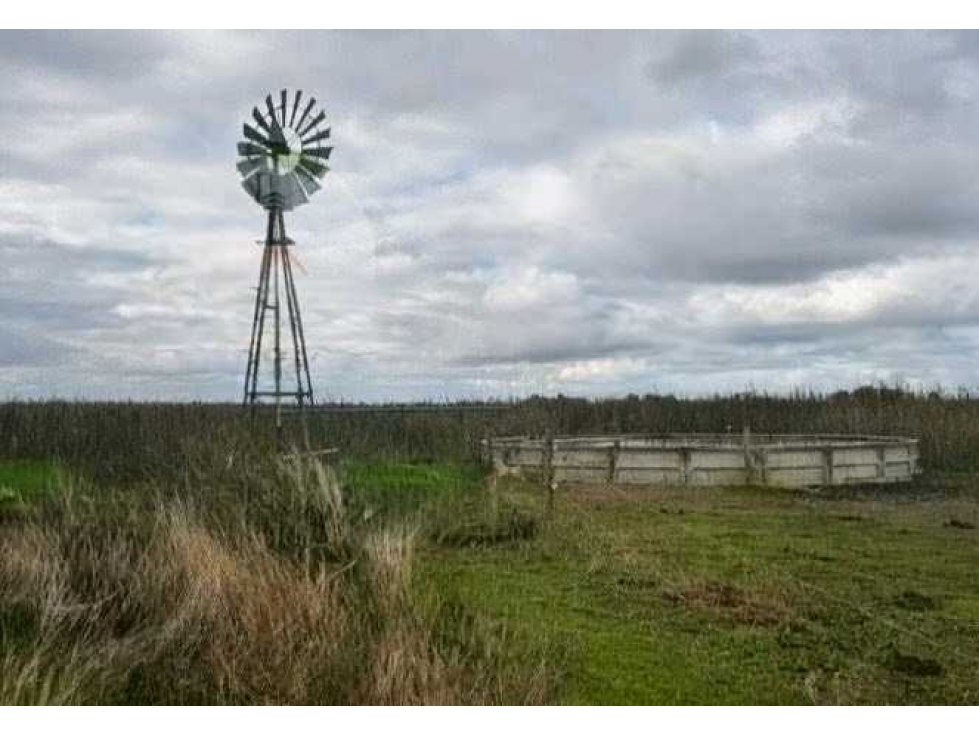 CAMPO 176 HECTAREAS, MIXTO, ROQUE PEREZ, BUENOS AIRES, ARGENTINA - 1