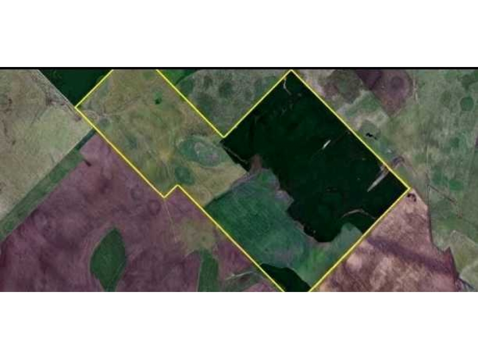 CAMPO 176 HECTAREAS, MIXTO, ROQUE PEREZ, BUENOS AIRES, ARGENTINA - 6