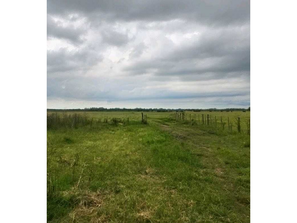 CAMPO 177 HECTAREAS, MIXTO, PERGAMINO, BUENOS AIRES, ARGENTINA - 1
