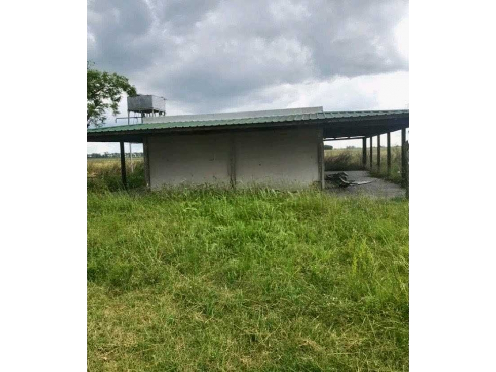 CAMPO 177 HECTAREAS, MIXTO, PERGAMINO, BUENOS AIRES, ARGENTINA - 5