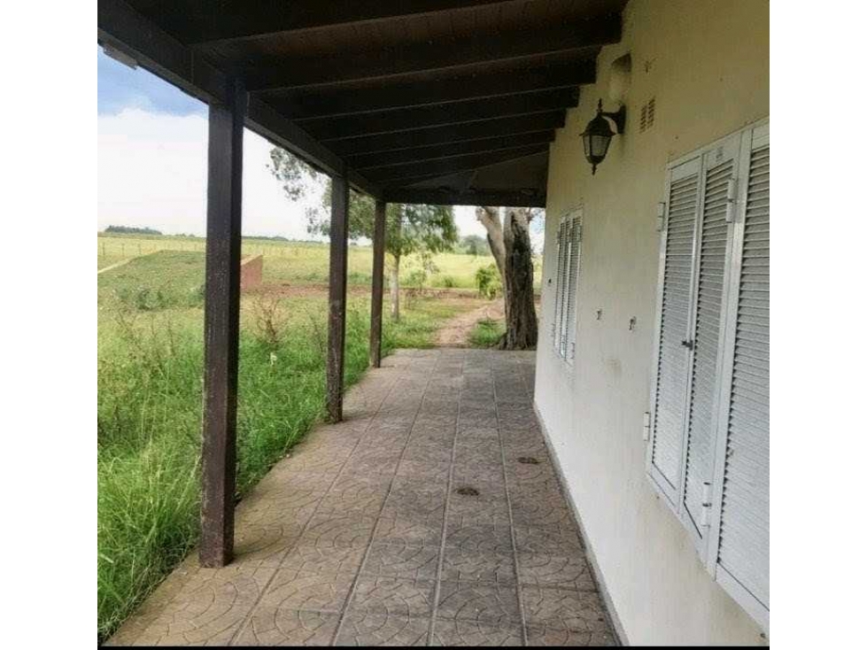 CAMPO 177 HECTAREAS, MIXTO, PERGAMINO, BUENOS AIRES, ARGENTINA - 6