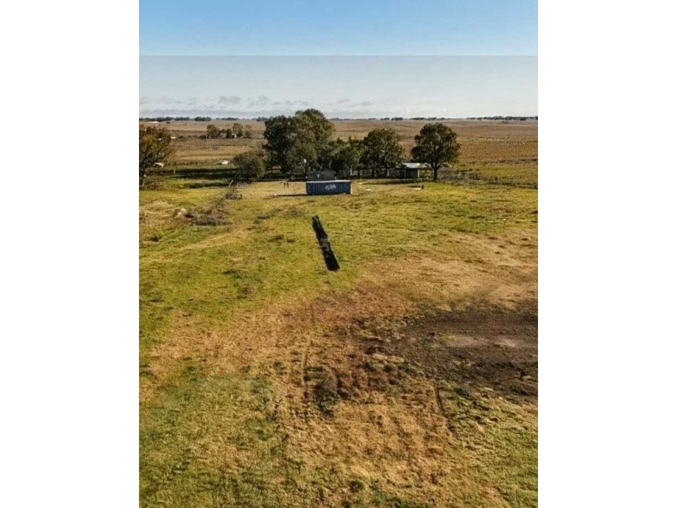 CAMPO 178 HECTAREAS, MIXTO, RAUCH, BENOS AIRES, ARGENTINA - 2