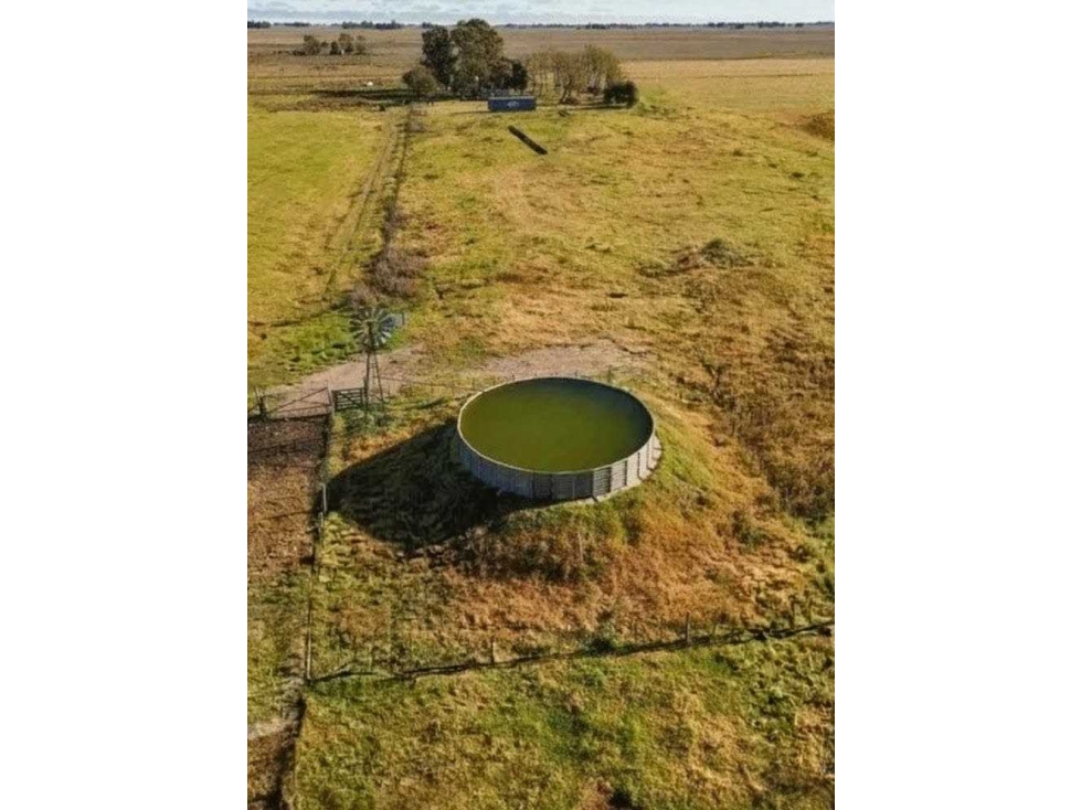 CAMPO 178 HECTAREAS, MIXTO, RAUCH, BENOS AIRES, ARGENTINA - 3