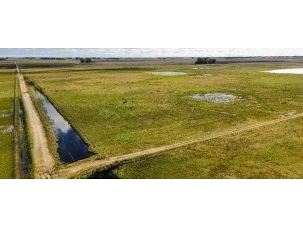 CAMPO 178 HECTAREAS, MIXTO, RAUCH, BENOS AIRES, ARGENTINA - 5