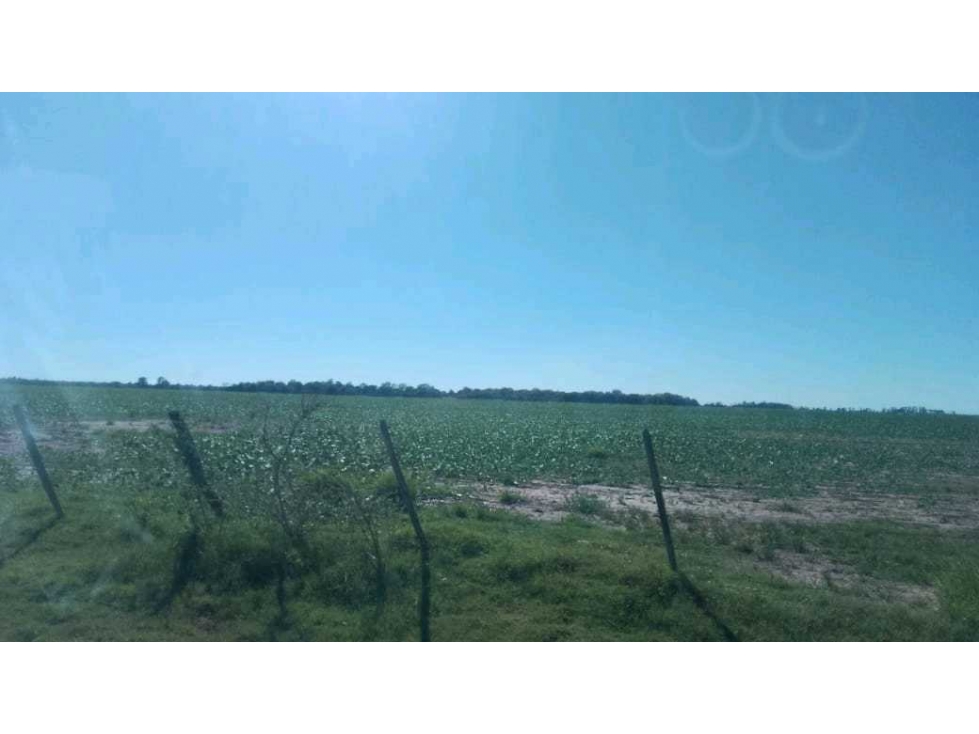 CAMPO 1805 HECTAREAS, MIXTO, LAS FLORES, BUENOS AIRES, ARGENTINA - 1