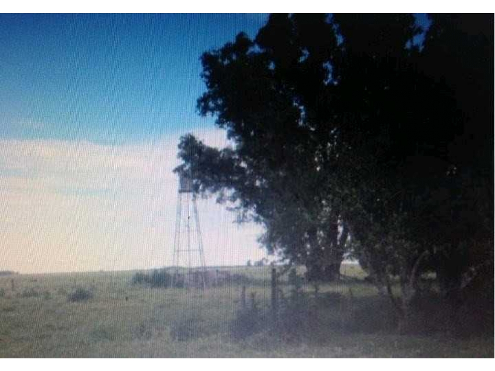 CAMPO 180 HECTAREAS GANADERO, LAS FLORES, BUENOS AIRES, ARGENTINA - 6