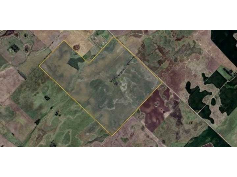 CAMPO 180 HECTAREAS, MIXTO, 9 DE JULIO, BUENOS AIRES, ARGENTINA - 3