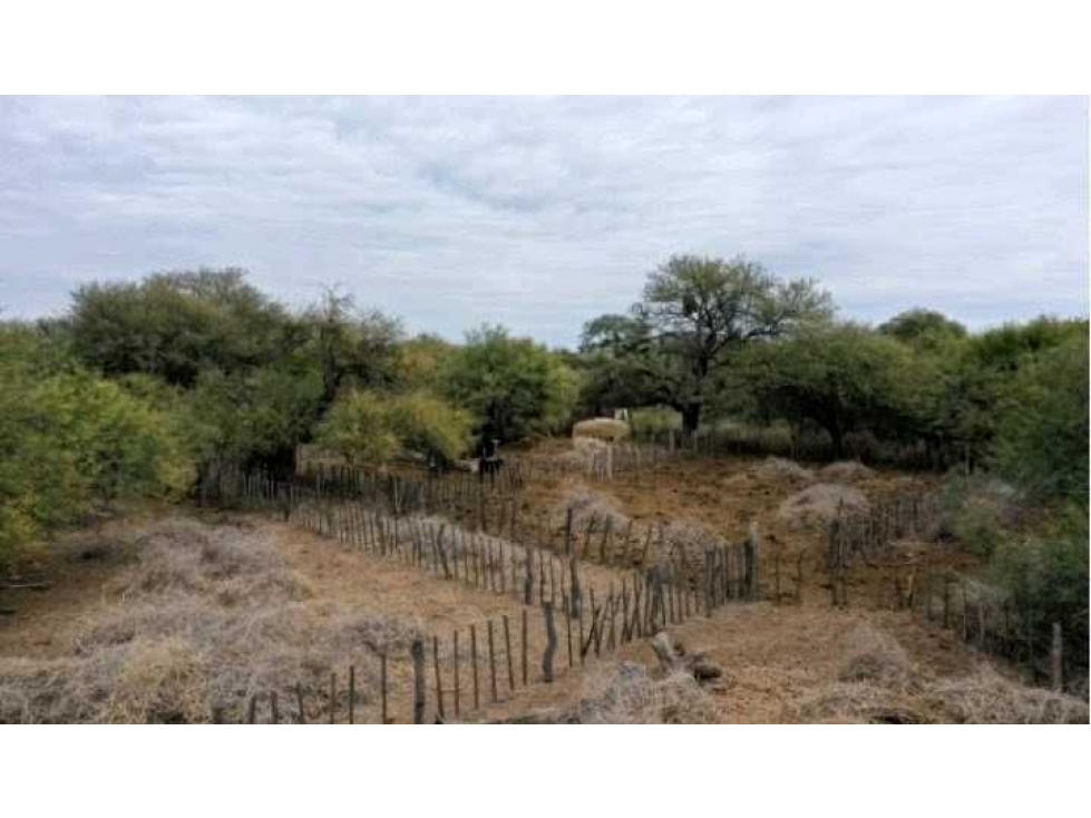 CAMPO 1856 HECTAREAS, GANADERO, VILLA DOLORES, CORDOBA, ARGENTINA - 1