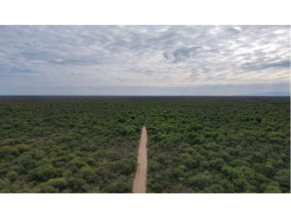 CAMPO 1856 HECTAREAS, GANADERO, VILLA DOLORES, CORDOBA, ARGENTINA - 4