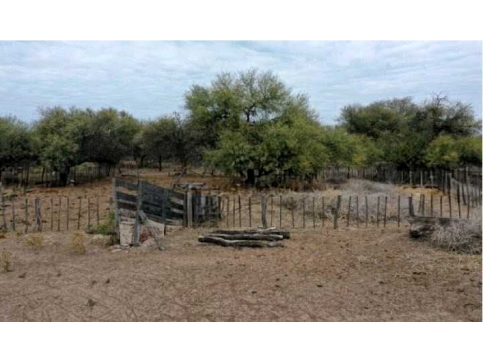 CAMPO 1856 HECTAREAS, GANADERO, VILLA DOLORES, CORDOBA, ARGENTINA - 6
