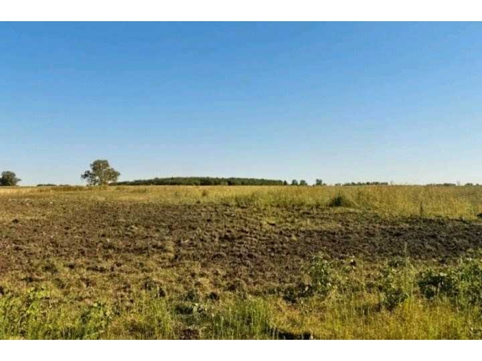 CAMPO 186 HECTAREAS, MIXTO, CARLOS CASARES, BUENOS AIRES, ARGENTINA - 1