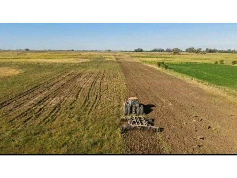 CAMPO 186 HECTAREAS, MIXTO, CARLOS CASARES, BUENOS AIRES, ARGENTINA - 2