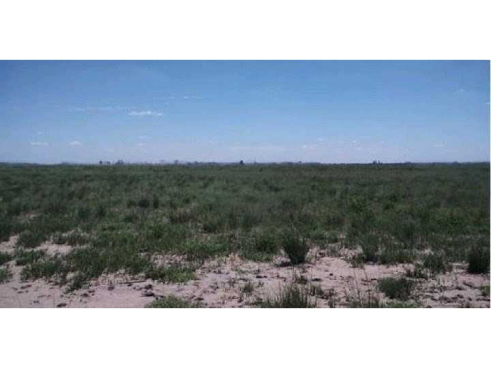 CAMPO 1900 HECTAREAS AGRICOLAS, LABOUYALE, CORDOBA, ARGENTINA - 3
