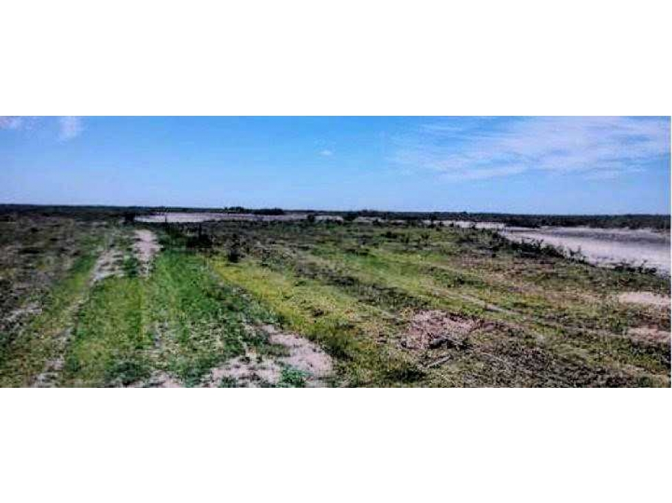 CAMPO 1900 HECTAREAS AGRICOLAS, LABOUYALE, CORDOBA, ARGENTINA - 5