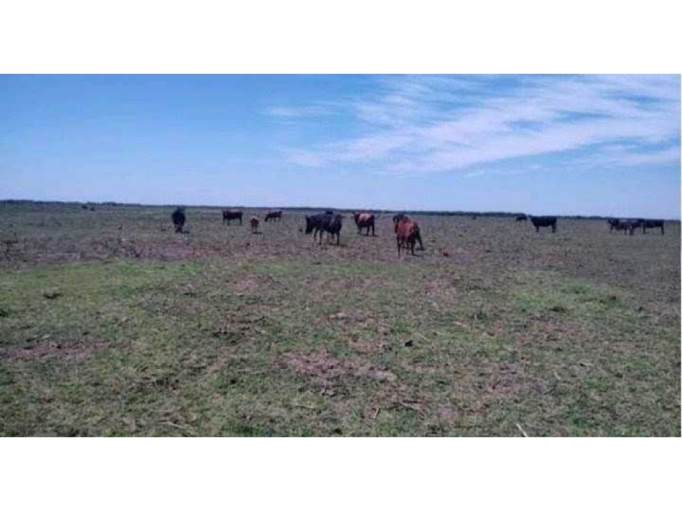 CAMPO 1900 HECTAREAS AGRICOLAS, LABOUYALE, CORDOBA, ARGENTINA - 6