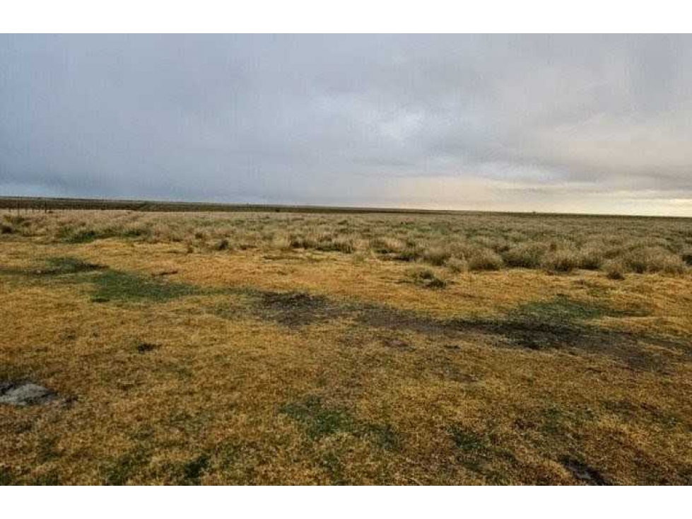 CAMPO 190 HECTAREAS, GANADERO, BAHIA BLANCA, BUENOS AIRES, ARGENTINA - 2