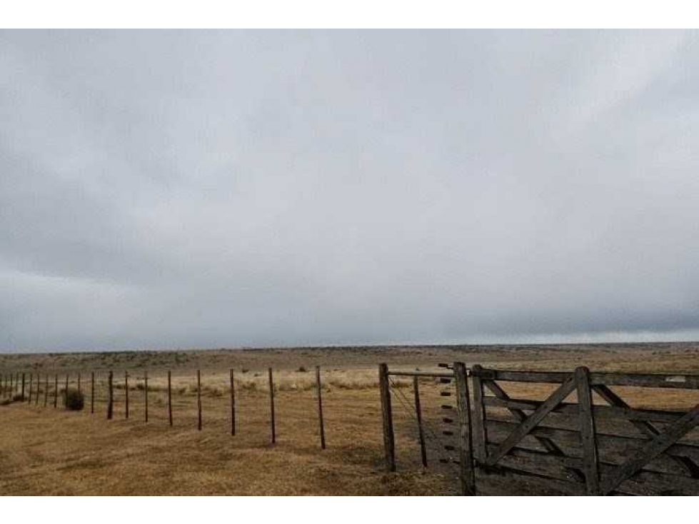 CAMPO 190 HECTAREAS, GANADERO, BAHIA BLANCA, BUENOS AIRES, ARGENTINA - 3