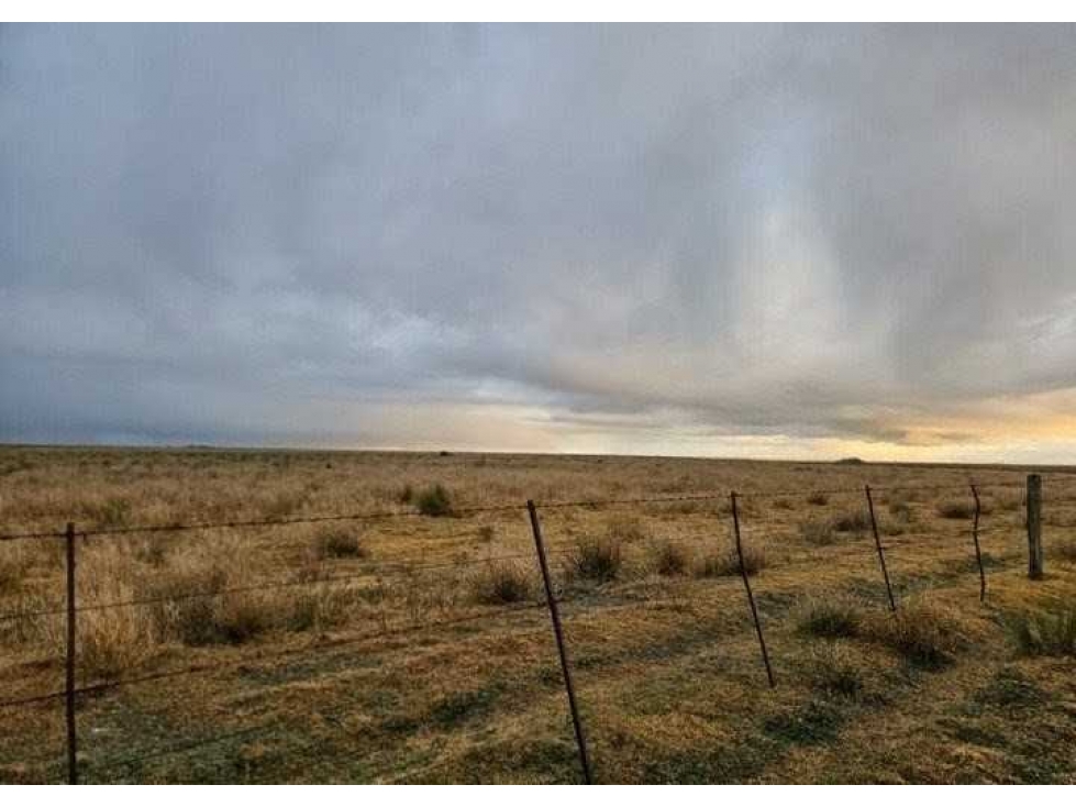 CAMPO 190 HECTAREAS, GANADERO, BAHIA BLANCA, BUENOS AIRES, ARGENTINA - 4