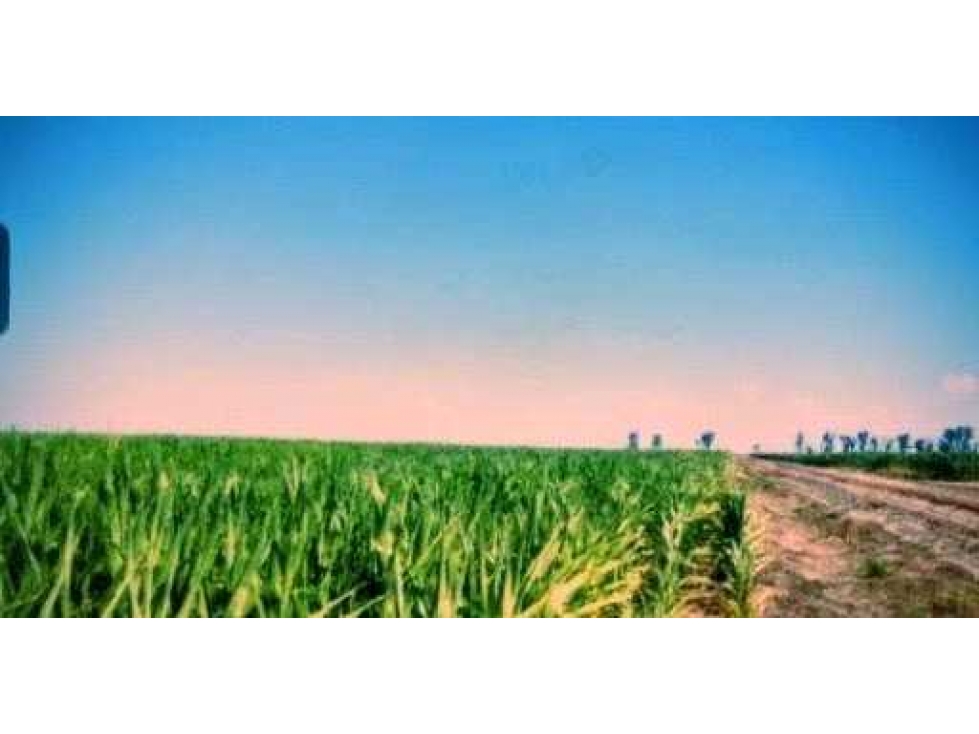 CAMPO 1912 HECTAREAS, AGRICOLA, SAN JUSTO, CORDOBA, ARGENTINA - 2