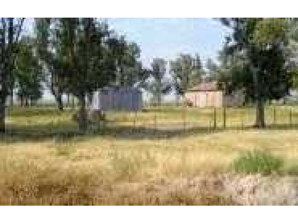 CAMPO 1912 HECTAREAS, AGRICOLA, SAN JUSTO, CORDOBA, ARGENTINA - 3