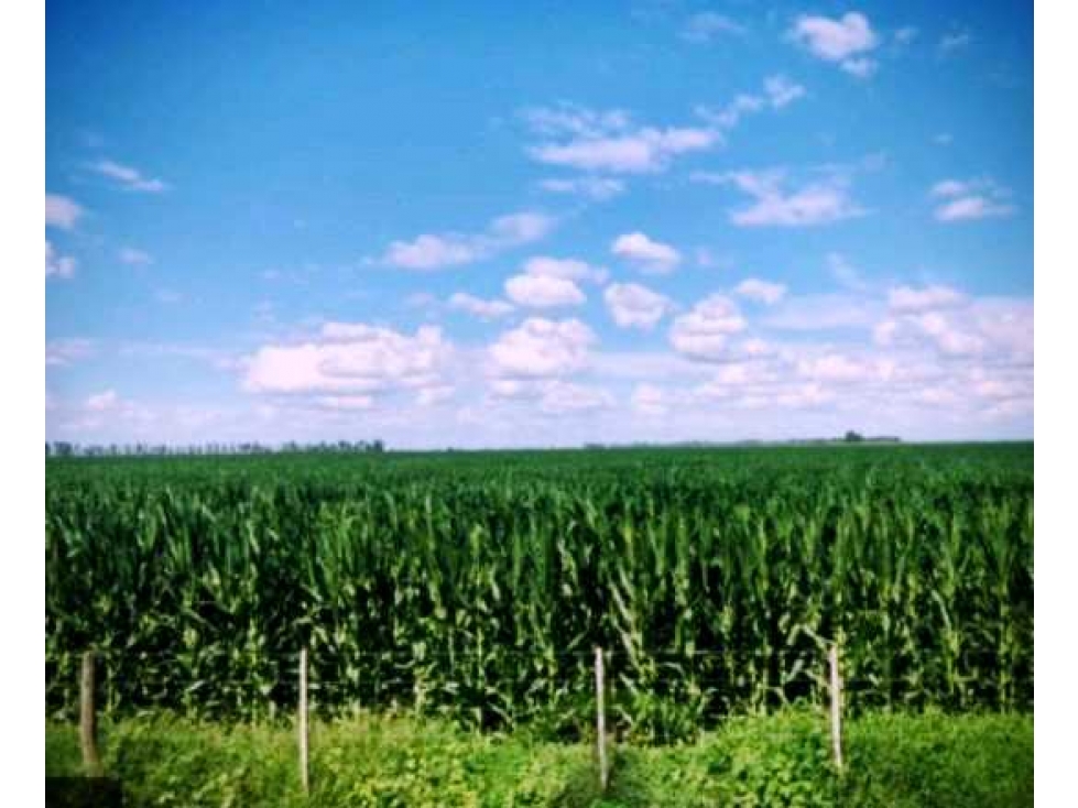 CAMPO 1912 HECTAREAS, AGRICOLA, SAN JUSTO, CORDOBA, ARGENTINA - 4