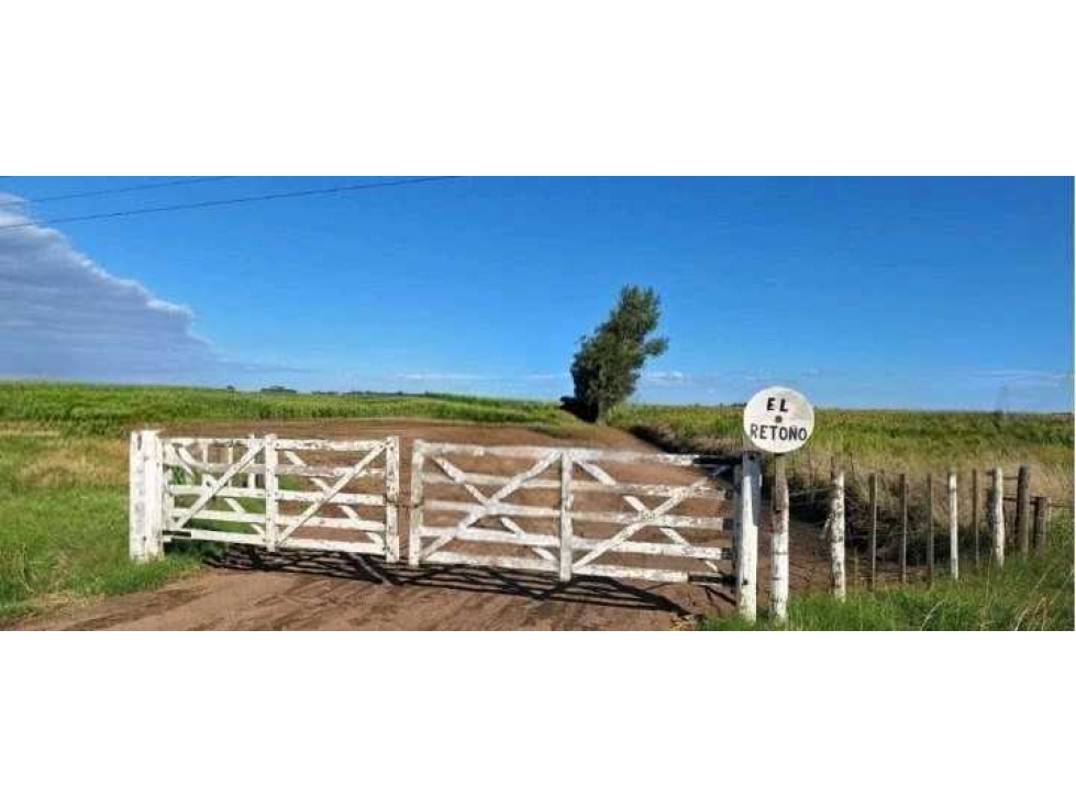 CAMPO 192 HECTAREAS, MIXTO, DAIREAUX, BUENOS AIRES, ARGENTINA - 5