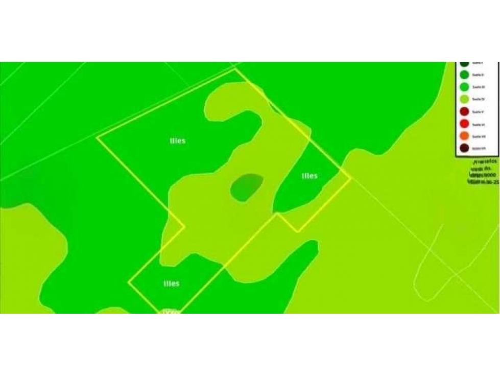 CAMPO 192 HECTAREAS, MIXTO, DAIREAUX, BUENOS AIRES, ARGENTINA - 6