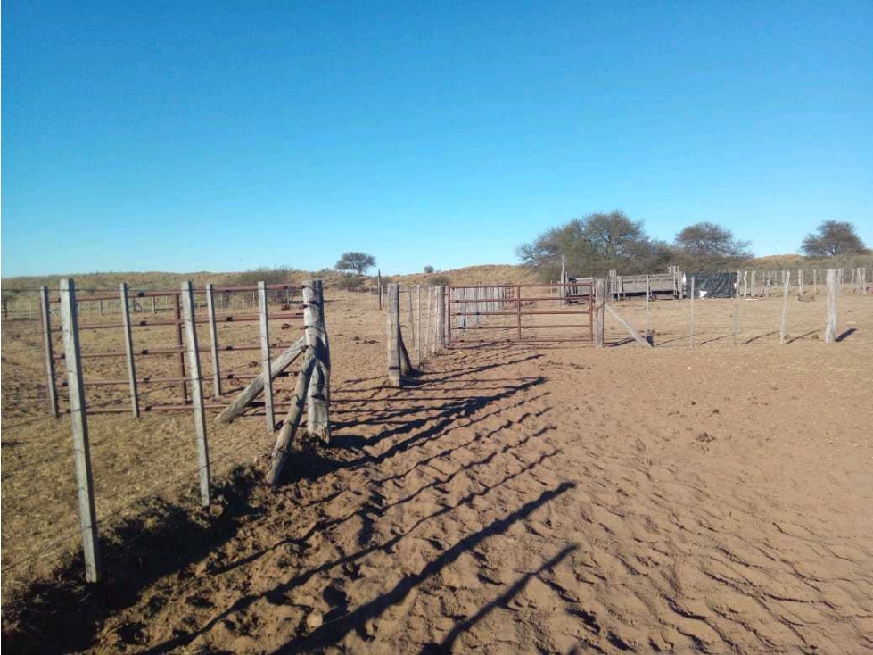 CAMPO 1784 HAS GANADERO, VILLA MERCEDES, SAN LUIS,ARGENTINA - 2