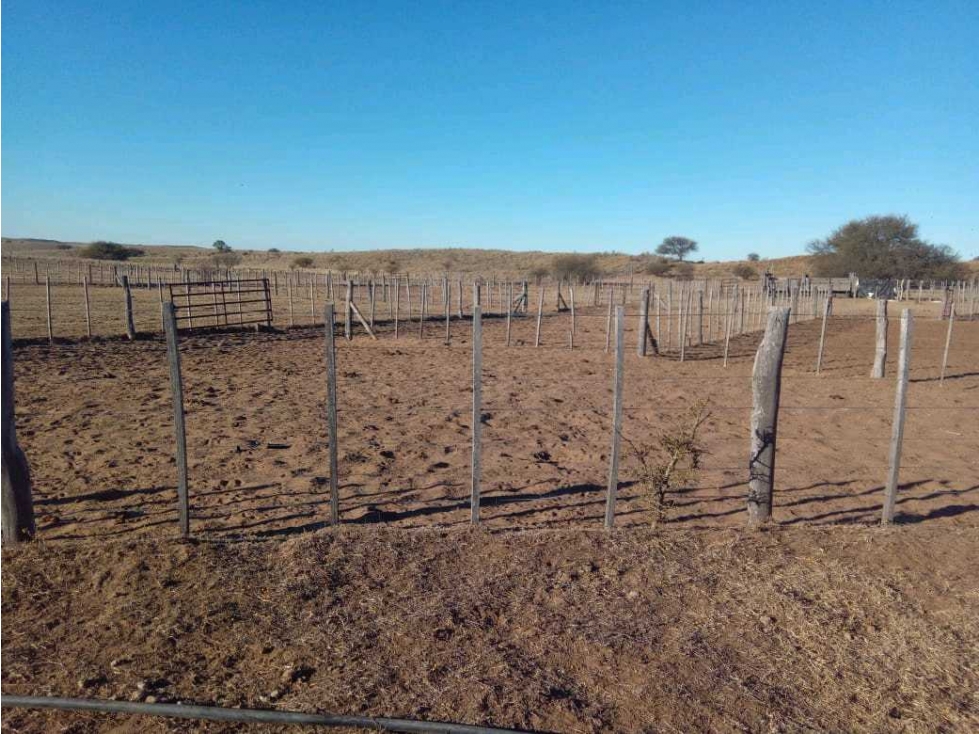CAMPO 1784 HAS GANADERO, VILLA MERCEDES, SAN LUIS,ARGENTINA - 4